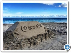 Pigs n Paridise for Seminole Casio